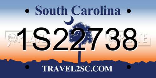 1S22738 South Carolina License Plate