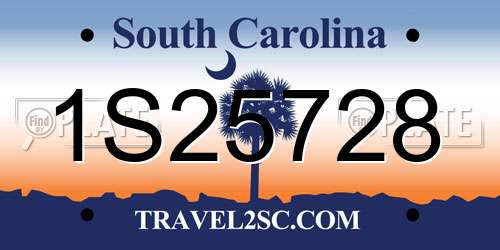1S25728 South Carolina License Plate