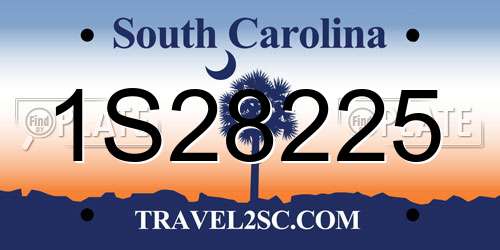1S28225 South Carolina License Plate