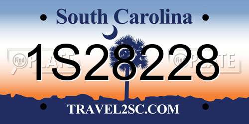 1S28228 South Carolina License Plate