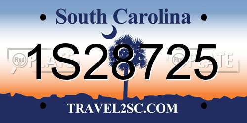 1S28725 South Carolina License Plate
