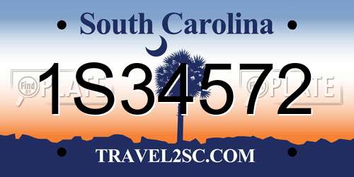 1S34572 South Carolina License Plate