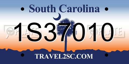 1S37010 South Carolina License Plate