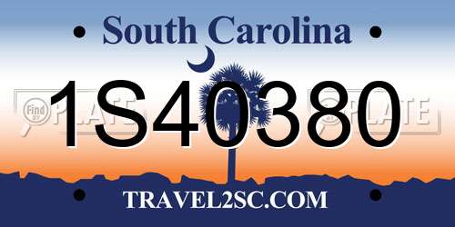 1S40380 South Carolina License Plate