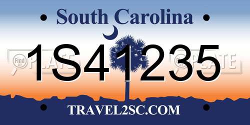 1S41235 South Carolina License Plate