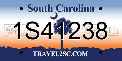 1S41238 South Carolina License Plate