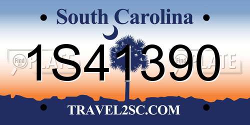 1S41390 South Carolina License Plate