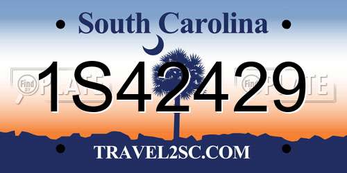 1S42429 South Carolina License Plate