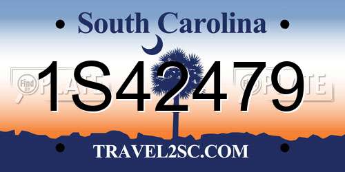 1S42479 South Carolina License Plate
