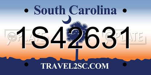 1S42631 South Carolina License Plate