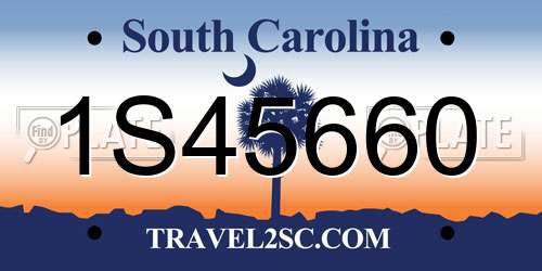 1S45660 South Carolina License Plate