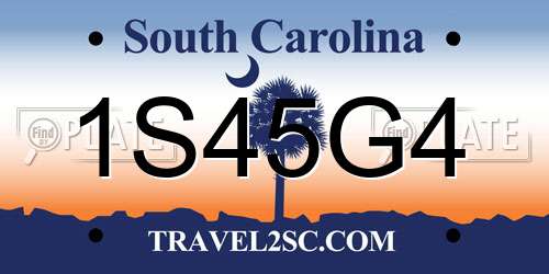 1S45G4 South Carolina License Plate