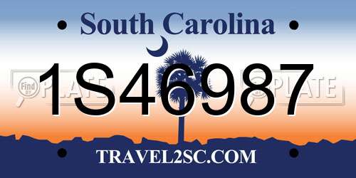 1S46987 South Carolina License Plate