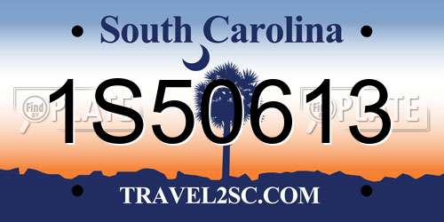1S50613 South Carolina License Plate