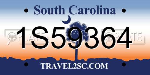 1S59364 South Carolina License Plate