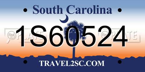 1S60524 South Carolina License Plate