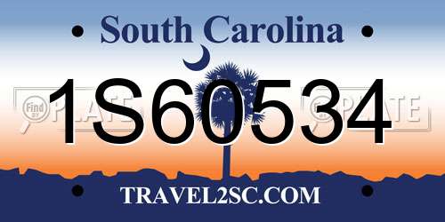 1S60534 South Carolina License Plate