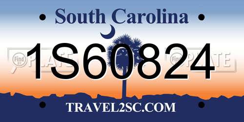 1S60824 South Carolina License Plate