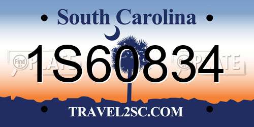 1S60834 South Carolina License Plate