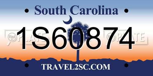 1S60874 South Carolina License Plate