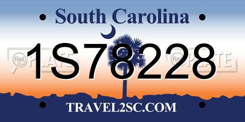 1S78228 South Carolina License Plate