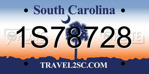 1S78728 South Carolina License Plate