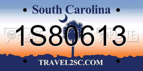 1S80613 South Carolina License Plate