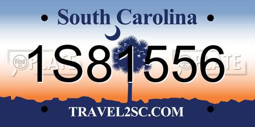 1S81556 South Carolina License Plate