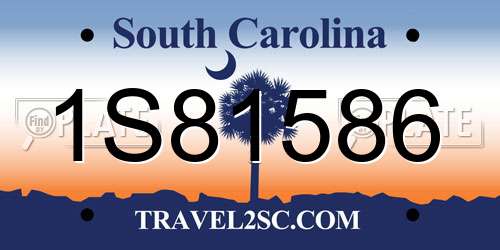 1S81586 South Carolina License Plate