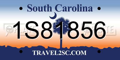 1S81856 South Carolina License Plate