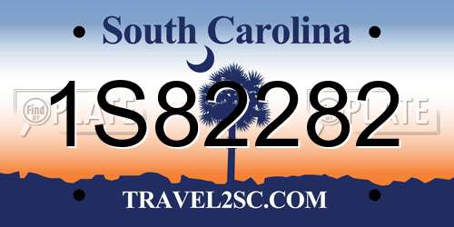 1S82282 South Carolina License Plate
