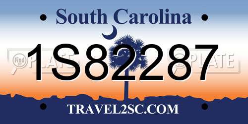 1S82287 South Carolina License Plate