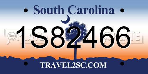 1S82466 South Carolina License Plate