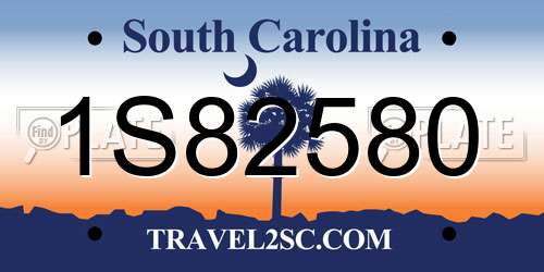 1S82580 South Carolina License Plate