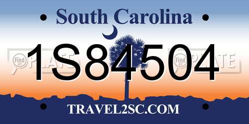 1S84504 South Carolina License Plate