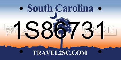 1S86731 South Carolina License Plate
