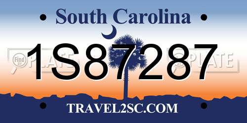 1S87287 South Carolina License Plate