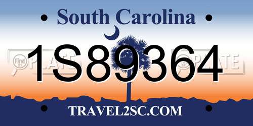 1S89364 South Carolina License Plate