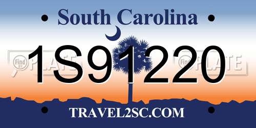 1S91220 South Carolina License Plate