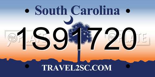 1S91720 South Carolina License Plate