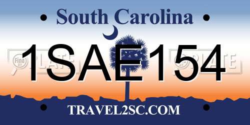 1SAE154 South Carolina License Plate