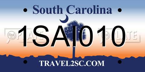 1SAI010 South Carolina License Plate