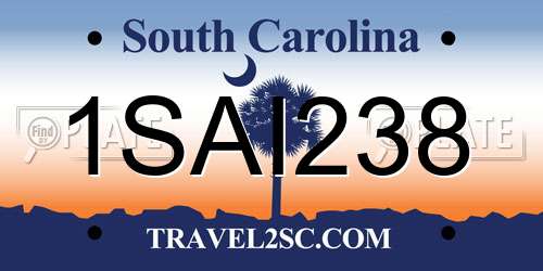 1SAI238 South Carolina License Plate