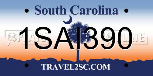 1SAI390 South Carolina License Plate