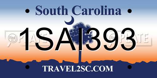 1SAI393 South Carolina License Plate