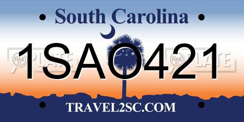 1SAO421 South Carolina License Plate