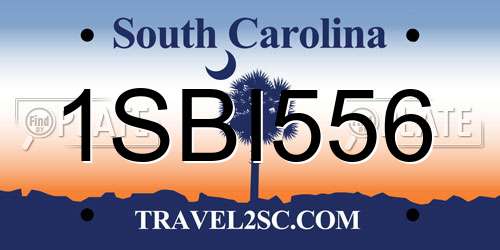 1SBI556 South Carolina License Plate