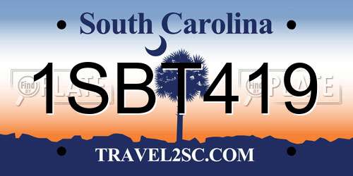 1SBT419 South Carolina License Plate