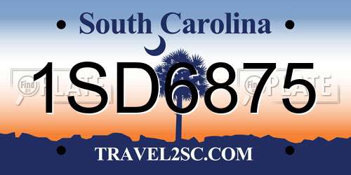 1SD6875 South Carolina License Plate