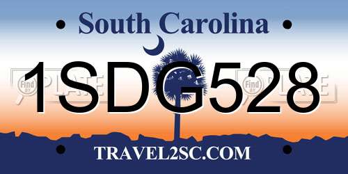 1SDG528 South Carolina License Plate
